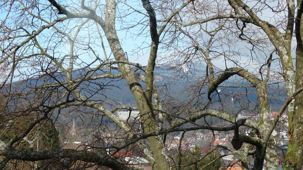Bergziege Apartment Braunlage Exterior foto